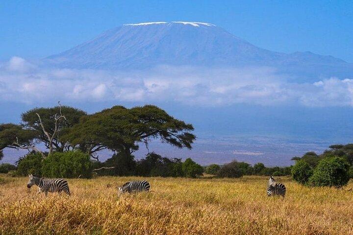 Amboseli Multi Day Tour fra Nairobi