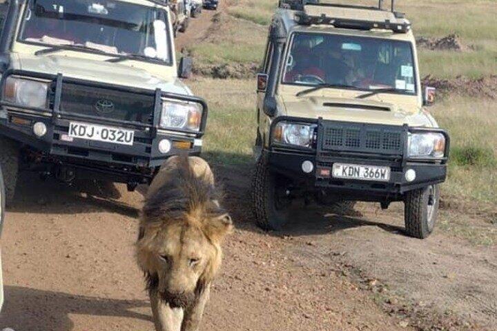 Amboseli Multi Day Tour fra Nairobi