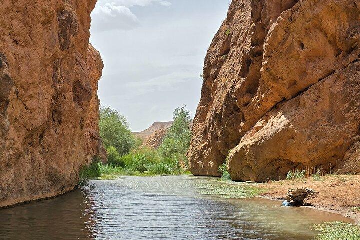 Dades Gorge-Monkey Finger's Canyon Escursione a Boumalne Dades
