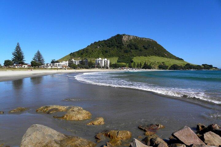 Kulturelle Rotorua Private Tour Tauranga Havn. Whakarewarewa billet