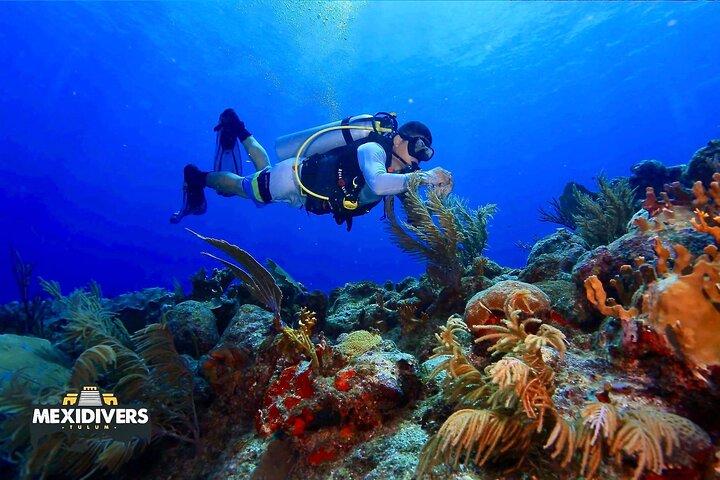 Tulum duiken (rif) 2 tanks