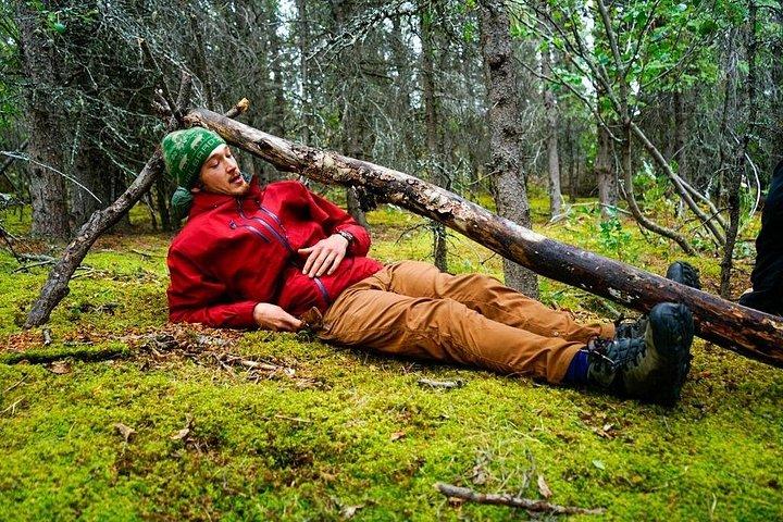 Denali Primitive Survival - 4h lätt vandring och överlevnad Workshop