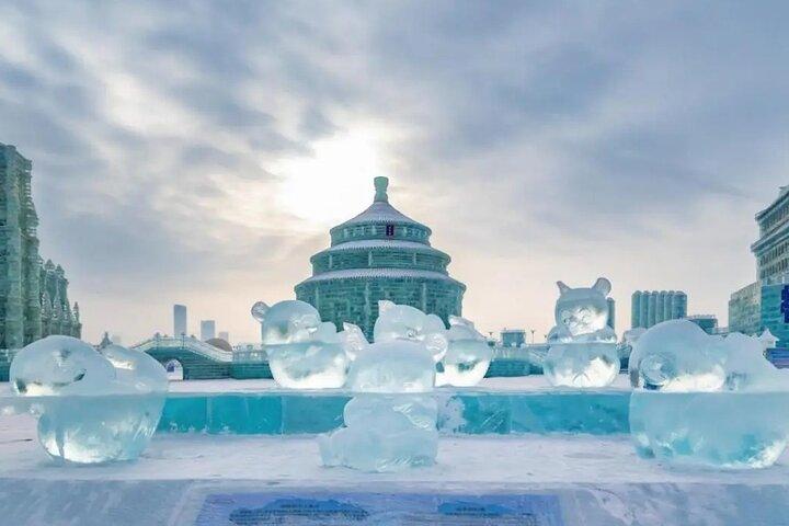 ハルビングループデイツアー：ハルビン氷雪祭