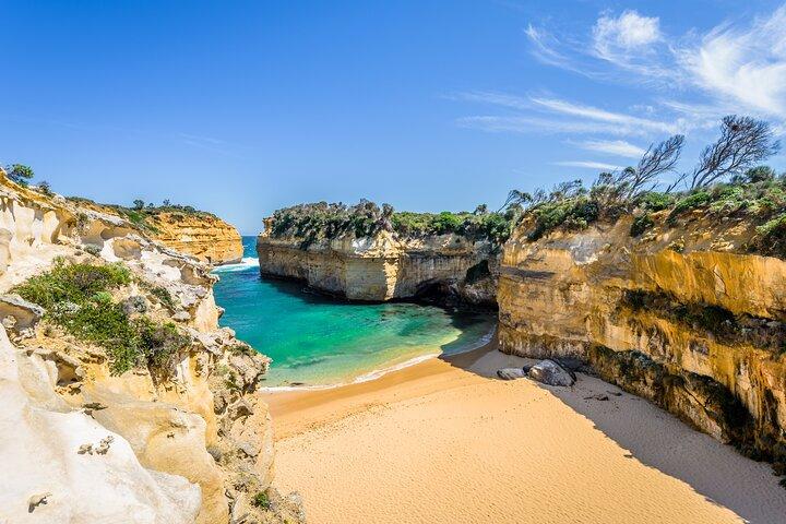 Melbourne: Private Great Ocean Road & 12 Apostles Tours.