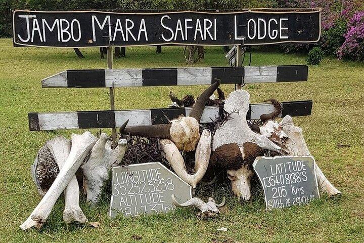 4-daagse Safari Maasai Mara, Lake Nakuru en Lake Naivasha