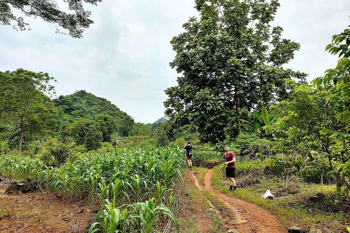 Ha Giang Loop Trekking Heldagstur