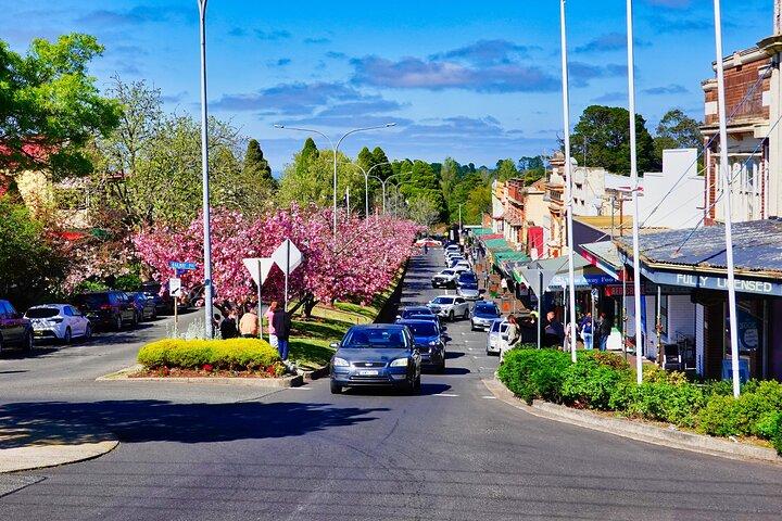 MPT - Blue Mountains Luxury Private tour