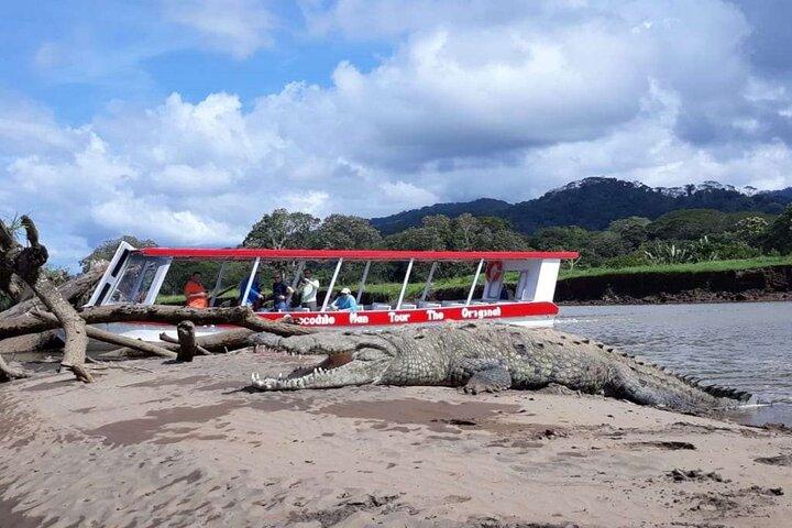 ワニとサルの海岸へのツアー