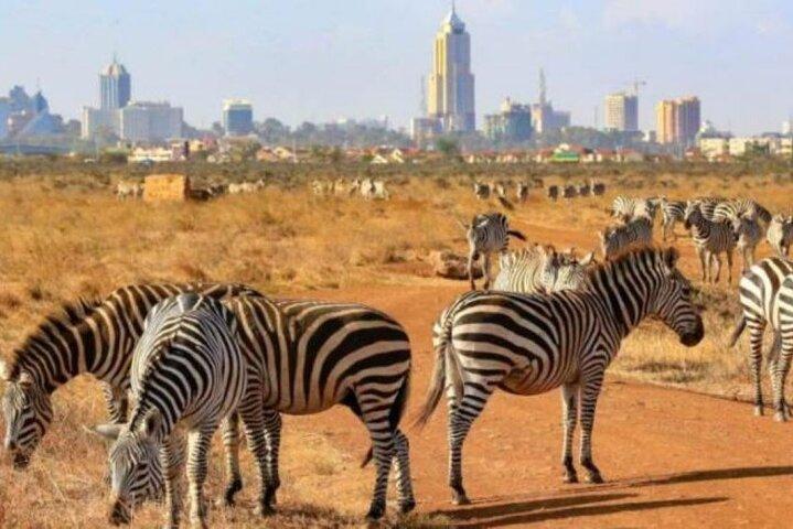 Tagestour zum Nairobi Nationalpark und Giraffenzentrum