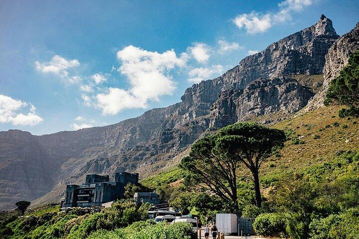 Cape Town Private Tour: Table Mountain, Cape Point & Penguins