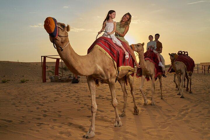 Dubai aften Desert Safari BBQ middag og transfer til Noble Camp