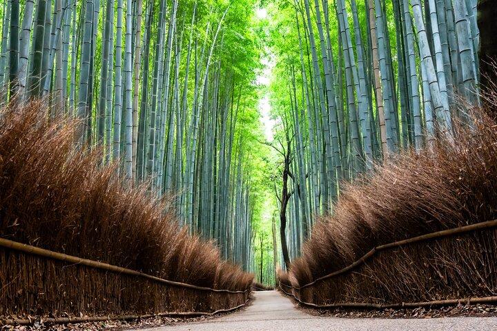 Excursão privada de dia inteiro de Kyoto de carro
