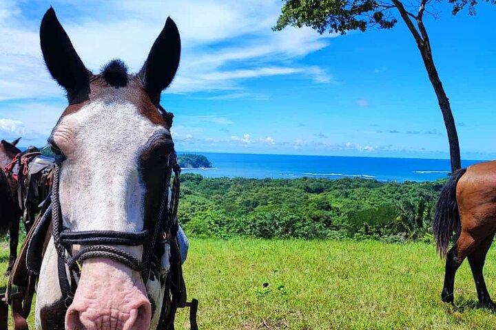 Paseos a caballo en Puerto Carrillo : Playa & Selva