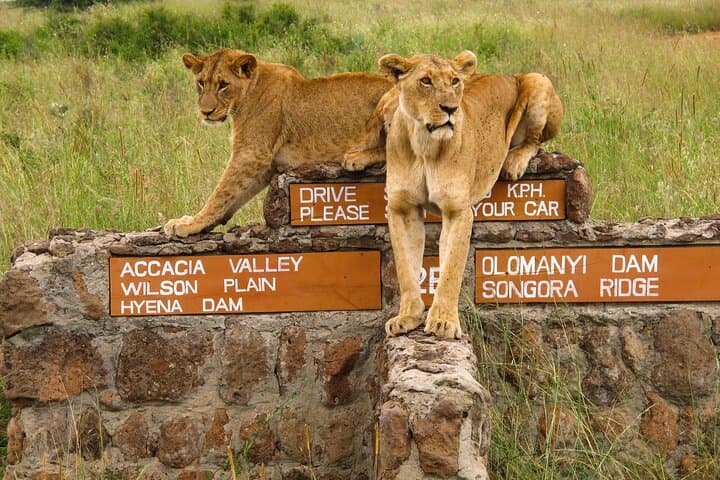 Nairobi National Park, Elephant Orphanage and Giraffe Centre