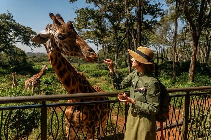 Nairobi National Park And Giraffe Centre
