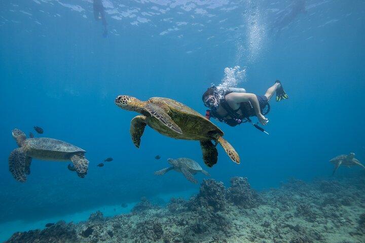 Buceador certificado: inmersiones de 2 tanques en arrecifes poco profundos en Oahu