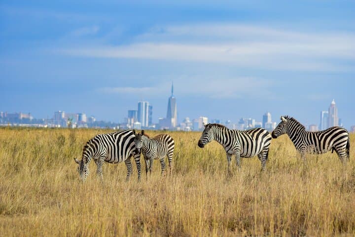 Early Morning Group Joining Safari To Nairobi National Park