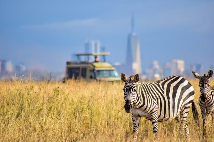Early Morning Group Joining Safari To Nairobi National Park