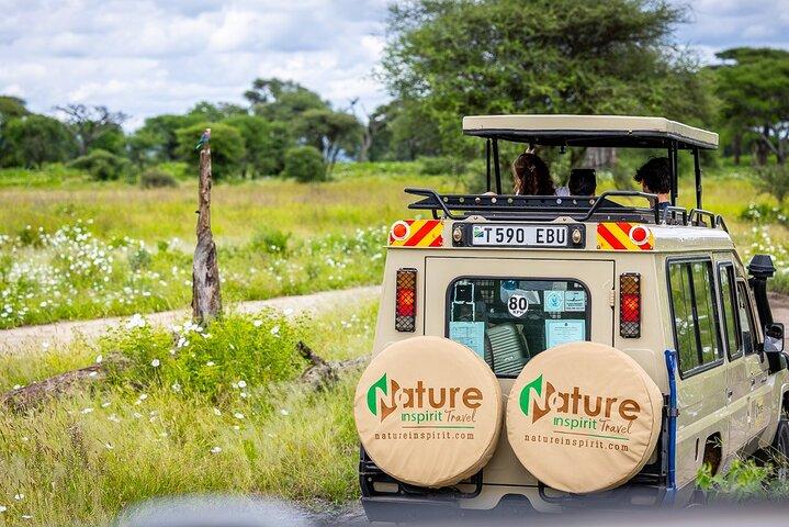 9 días de vacaciones en Tanzania, cinco grandes safaris y playa de Zanzíbar