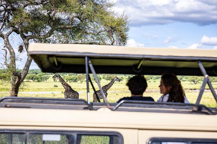 9 días de vacaciones en Tanzania, cinco grandes safaris y playa de Zanzíbar