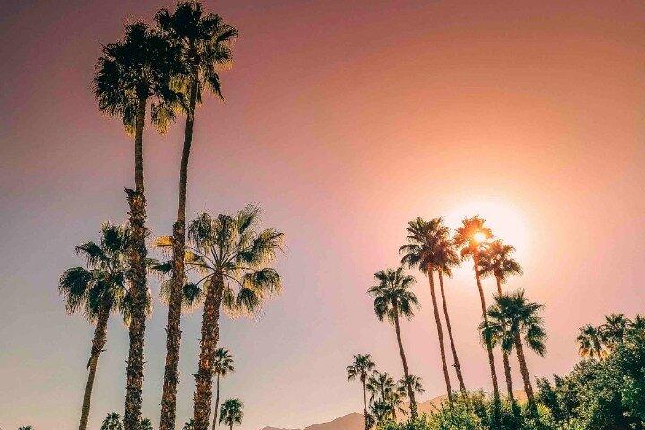 Excursão privada a Palm Springs de Los Angeles