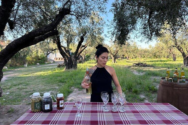Ruta del vino con almuerzo