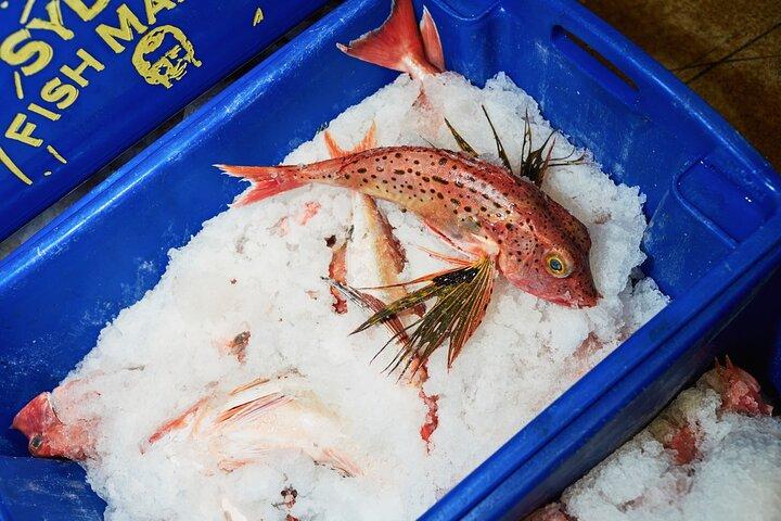 Sydney Fish Market Tours