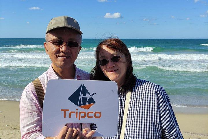 Private Day to Alexandria from Cairo with lunch