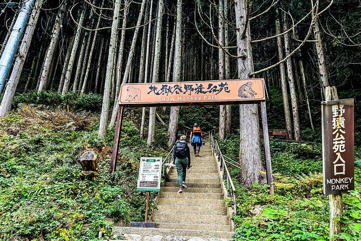 東京発スノーモンキーパークプライベートツアー（ライセンスガイド付き）