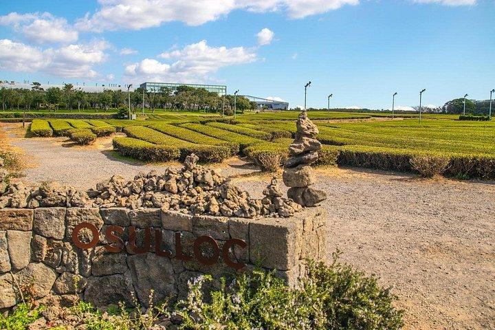 済州南部ユネスコ全日ツアー(ハルラ山)
