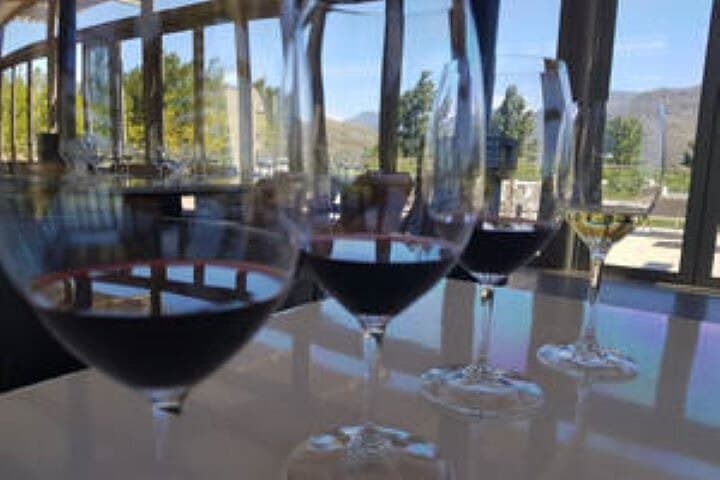 Cape Winelands Customizable Tour