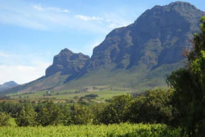Cape Winelands Customizable Tour