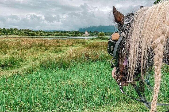 Visite en voiture de Killarney Jaunting