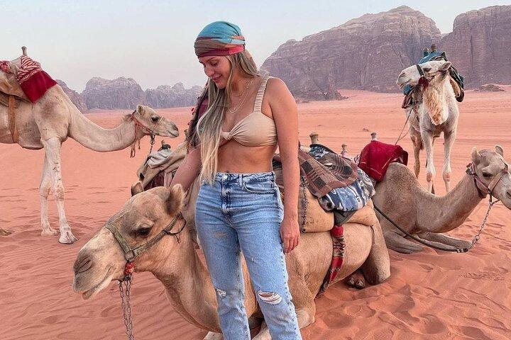 Excursão guiada privada de Petra e Wadi Rum
