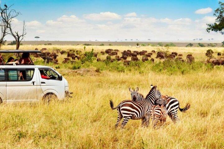 Safari privé Maasai Mara 3 jours, 2 nuits - 4 x 4 Safari Jeep
