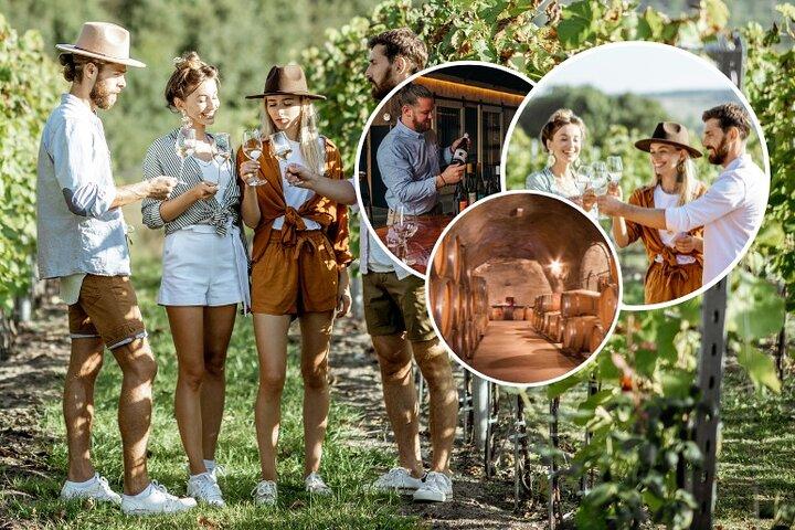 Queenstown Wine Tour + Wine Cave (somente para adultos) Kiwi Host, Max 10
