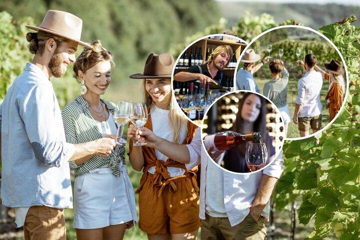 Queenstown Afternoon Wine Tour (somente para adultos) | Kiwi Host, Max 10