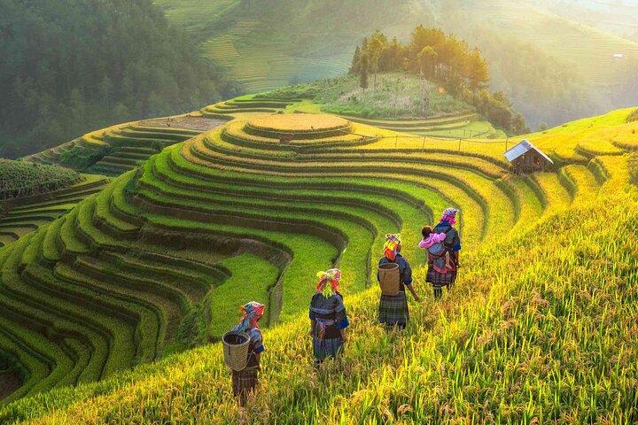 Authentisches Vietnam Reisen Sie 15 Tage lang von Norden nach Süden oder umgekehrt