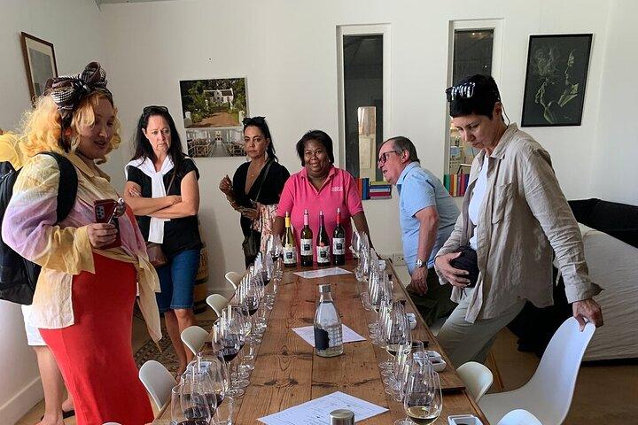 Tour de dégustation de vins Table Mountain & Constantia au Cap