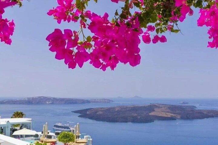 Visita privada de Santorini a la isla familiar con visita al Museo del Vino