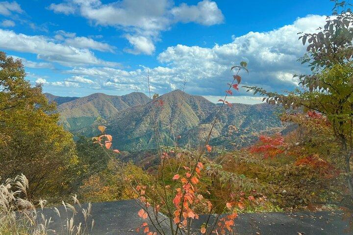 Nikko Guided Cycling Tour com um monge local