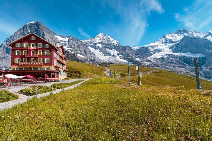 Visite privée d'une journée à Grindelwald et Lauterbrunnen au départ de Bâle