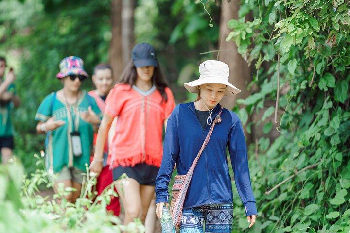 Heldags Elephant Sanctuary Mahout upplevelse