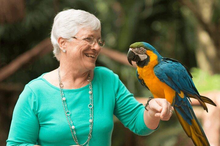 Tur til Bird Park og Iguaçu Falls