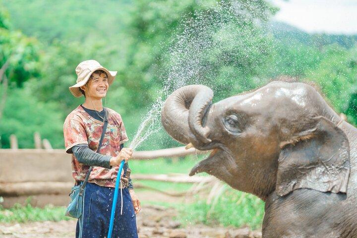 Hoteller i nærheden af Elephant Sanctuary Mahout Experience