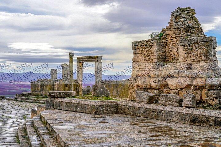 Halvdags Dougga-tur med licenseret guide