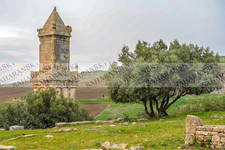 Halvdags Dougga-tur med licenseret guide