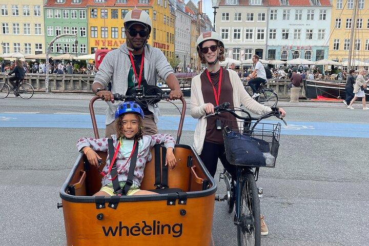Visita guiada de 3 horas de Copenhaga