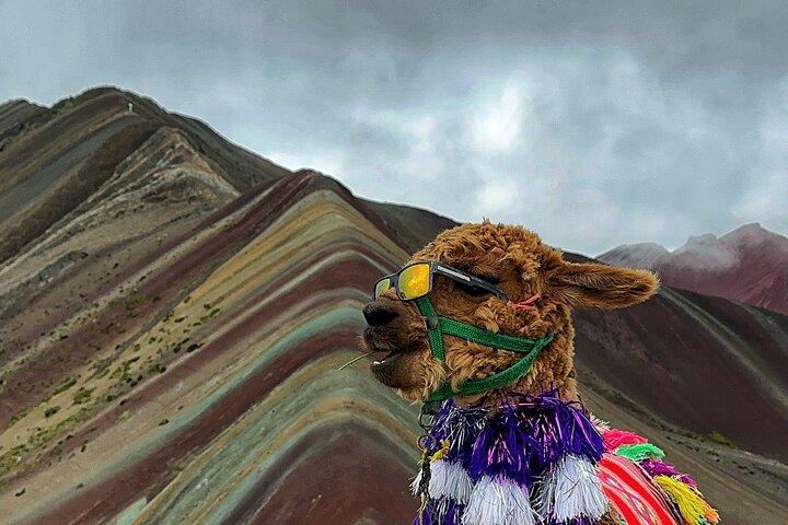 Mountain of Colors in a Day From Cusco