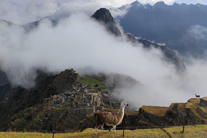 Court sentier inca à Machu Picchu